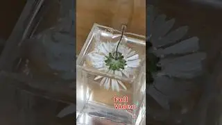 A new way for flowers in Epoxy Resin 🌼 