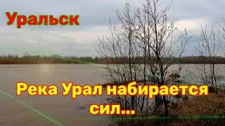 Река Урал набирается сил!