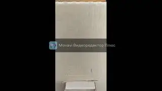 нашему Пчелику исполнилось 10 лет!