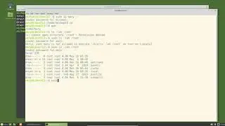 Linux Command Line (20) Add Root Users