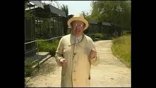 Сочи Путешествия натуралиста