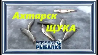 Диалоги о рыбалке - 105 / Ахтарск. Щука