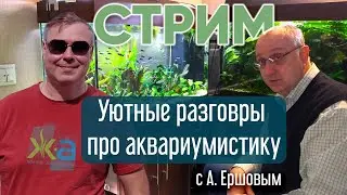 Уютные разговоры про аквариумистику с Александром Ершовым.