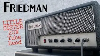 FRIEDMAN LITTLE SISTER 20 WATT TUBE HEAD