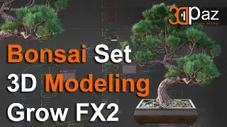 Bonsai Set 3D Modeling GrowFX2. Моделирование бонсая с плагином GrowFX2
