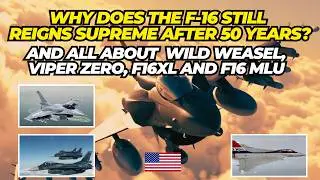 Why does the F16 Fighting Falcon reign supreme after 50 years?All about F16XL, F-2, F-16 Wild Weasel