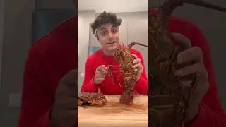 Screaming Lobster Experiment