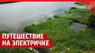 Путешествие на электричке: что посмотреть на остановках между Ростовом и Таганрогом| 161.RU