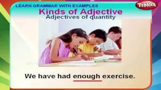 Kinds of Adjectives | English Grammar Lessons For Beginners | English Grammar For Kids