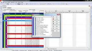 PPM P6 - 05 Working with Layouts