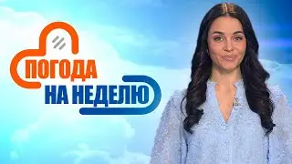 Небольшое похолодание! | Погода в Беларуси с 23 по 29 июня | Плюс-минус