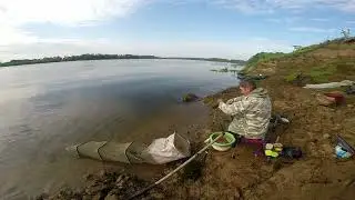 Оторвался по плотве на новом месте на Оке.