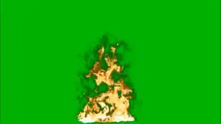 Animated fire ( bonfire) - Free Green Screen