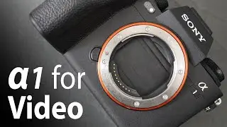 Sony Alpha 1 MOVIE quality vs EOS R5 review 6 months