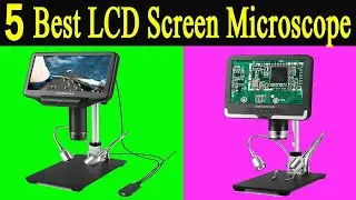 Top 5 Best LCD Screen Microscope Review 2021