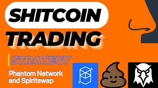 Beginners Guide To Finding Shitcoin With 100X Potential On Fantom Network 