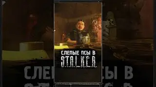 СЛЕПЫЕ ПСЫ В S.T.A.L.K.E.R. 