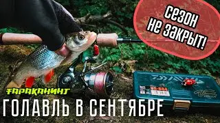 ГОЛАВЛЬ ОСЕНЬЮ! Как и на что ловить в сентябре? Тараканинг с TENRYU Rayz 632S-L