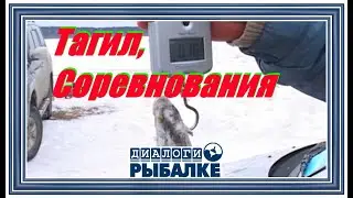 Диалоги о рыбалке - 032 / Тагил, Соревнования