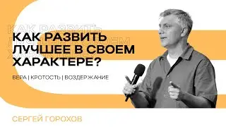 Как развить лучшее в своем характере? | Часть 3 | Сергей Горохов