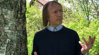 Поиск преемника и индивидуальное обучение.