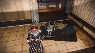 Where Is ARCHIE the DOG in EDZ | Destiny 2 HELP