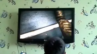 Далир и Данил  Mirror  s  edge