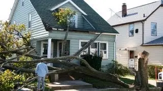 CSLB Advice for Wind Damage Repairs