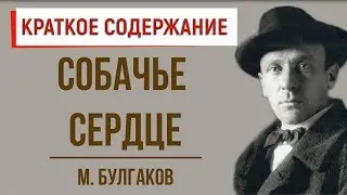 Собачье сердце. Краткое содержание