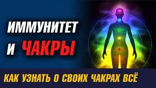 Иммунитет, чакры и внутренняя энергия. Как узнать о своих чакрах всё.