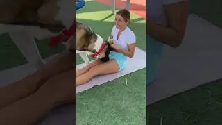 When Your Pup Wants All the Attention During Home Workouts! 🤣🐶