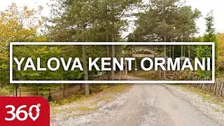 Yalova Kent Ormanı | Çınarcık Yalova