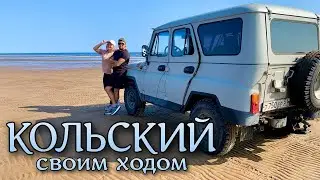 Кольский полуостров:золотые пески Кузомени,северная пустыня,дикие лошади и аметисты.Автопутешествие