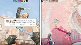 НОВАЯ БОМБА И НОЖИ, ИНВЕСТИЦИИ В СКИНЫ, СЛОМАННЫЕ АНИМАЦИИ В COUNTER-STRIKE 2