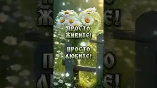 28 июля 2024 г.Доброе утро ! Хорошего дня !☀️🌝🦋🌼🌸🌺💛