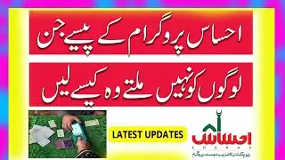 ehsaas 8171 web portal || ehsaas tracking pass gov pk 8171 | ehsaas nadra gov pk apply online