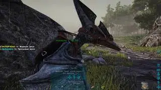 В поисках места проживания ч5   ARK Survival Evolved