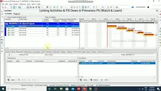 Linking Activities & Fill Down in Primavera P6 | Shortcuts (Watch & Learn)