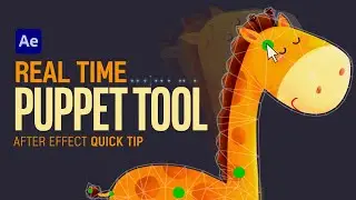 After Effects Quick Tip Real Time Puppet Tool Animation l 퍼핏 툴 실시간 애니메이션