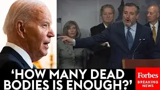 BREAKING NEWS: GOP Senators Tear Into Biden Over New Executive Order On Border Security And Asylum