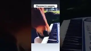 Дайте название этому музыкальному видео. Name this music video.