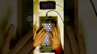 Exquis - @WeAreROLI #seaboard 5D "Moraz #lead" #synth #mobile #app #keyboard #controller #midi #mpe