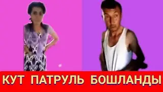 ЗАПАЛ ШАРМАНДА 5 +1