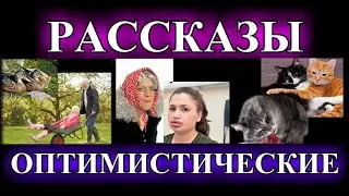 ОПТИМИСТИЧЕСКИЕ  РАССКАЗЫ❤️ВСТРЕЧА ВЫПУСКНИКОВ❤️У МЕНЯ БУДЕТ ЗЯТЬ❤️УТКА НА ДВОИХ@TEFI РАССКАЗЫ