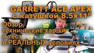 Garrett Ace Apex с катушкой 8.5х11. Обзор и тест в реальных условиях