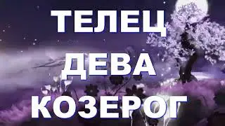 ТЕЛЕЦ ДЕВА КОЗЕРОГ