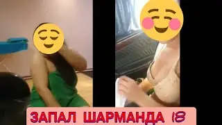 ШАРМАНДА 18 ЁОШТАН ТЕПАСИ КУРСИН