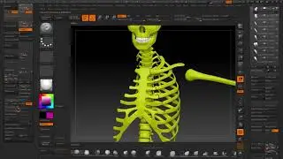 Anatomy Test