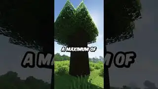 The Biggest Tree Type In Minecraft