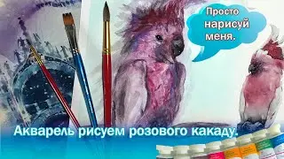 Розовый Попугай Какаду Я тебя рисую просто Акварелью